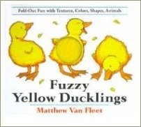 fuzzy yellow ducklings